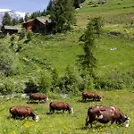 Hotellerie De Mascognaz Champoluc