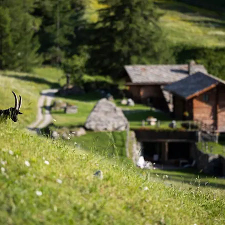 호텔 Hotellerie De Mascognaz 5*