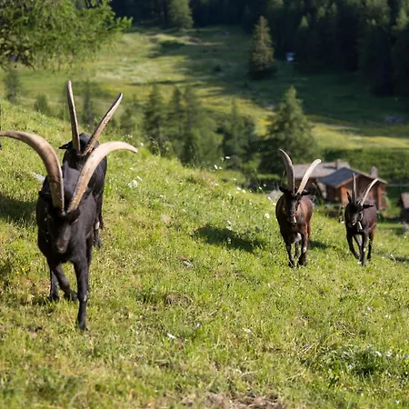 Hotell Hotellerie De Mascognaz Champoluc