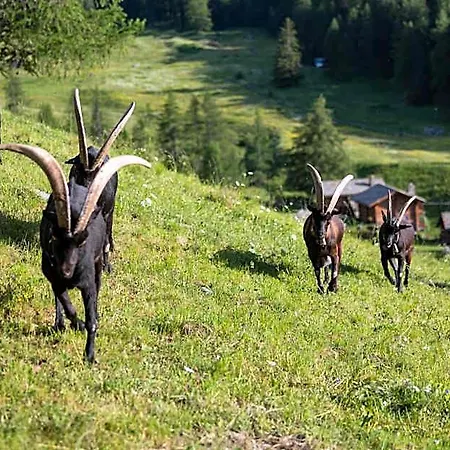 Hotel Hotellerie De Mascognaz 5*