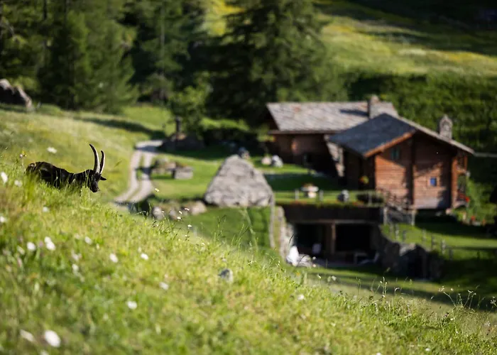 Hotel Hotellerie De Mascognaz 5*