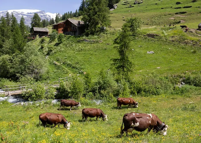 Hotellerie De Mascognaz Champoluc